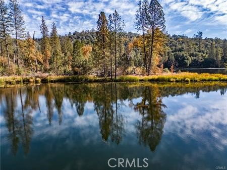 Detail Gallery Image 19 of 54 For 4816 Stumpfield Mountain Rd, Mariposa,  CA 95338 - 2 Beds | 2 Baths