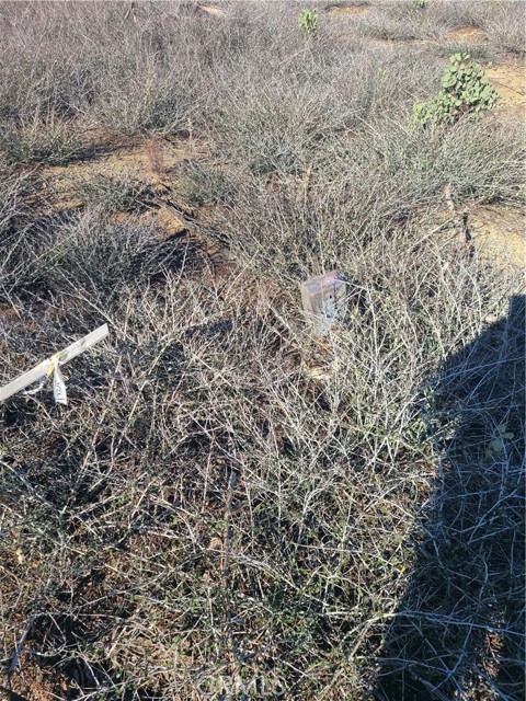 Detail Gallery Image 4 of 10 For 81 Green Cedar, Berry Creek,  CA 95916 - – Beds | – Baths