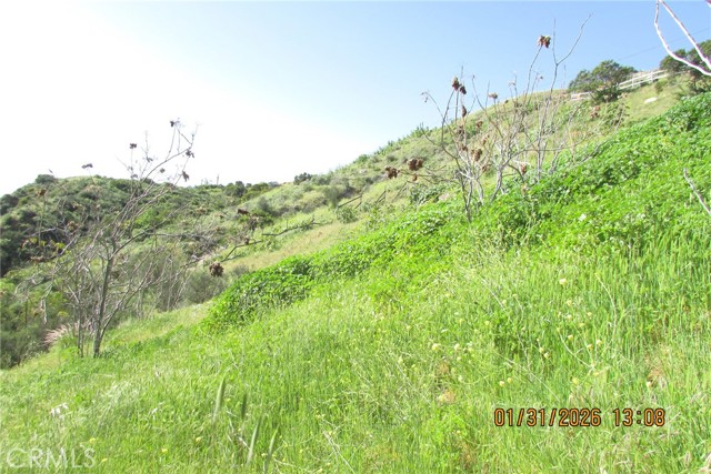 Detail Gallery Image 13 of 51 For 8001 Denivelle Rd., Sunland,  CA 91040 - – Beds | – Baths