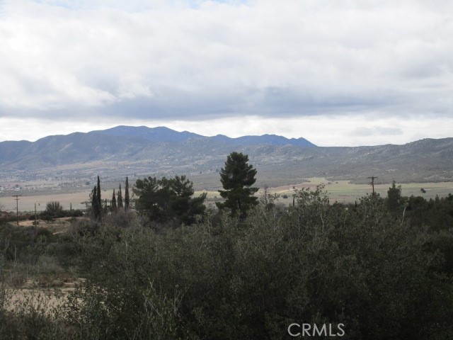 59490 Blue Jay Road