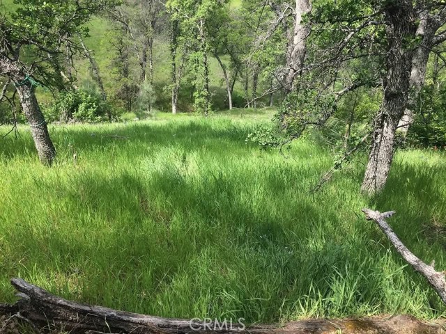 Front Image Thumbnail for CRSN26038600