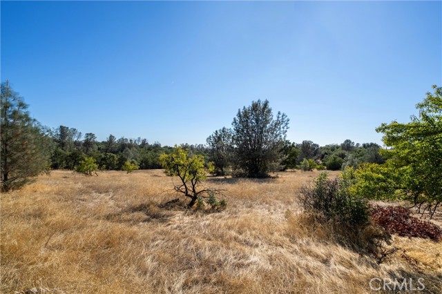 Detail Gallery Image 13 of 31 For 0 B Skyline Bld, Oroville,  CA 95966 - – Beds | – Baths