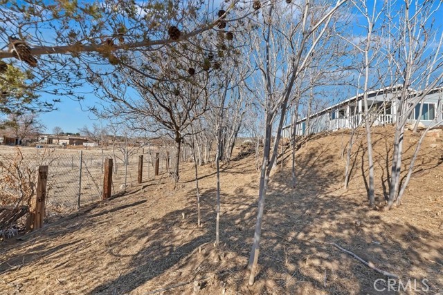 Detail Gallery Image 6 of 42 For 60500 Indian Paint Brush Rd, Anza,  CA 92539 - 3 Beds | 2 Baths