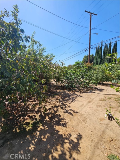 2352 California Ave photo 25