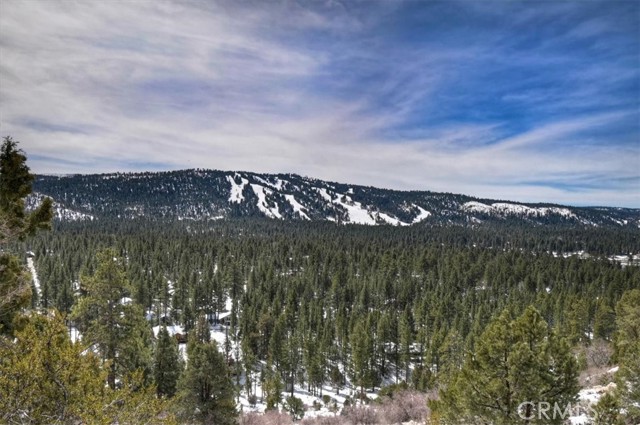 Detail Gallery Image 61 of 75 For 42545 Pegasus, Big Bear Lake,  CA 92315 - 5 Beds | 4 Baths