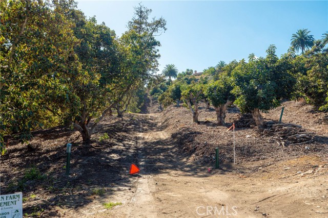 Detail Gallery Image 31 of 34 For 8 via Horca, Temecula,  CA 92590 - – Beds | – Baths