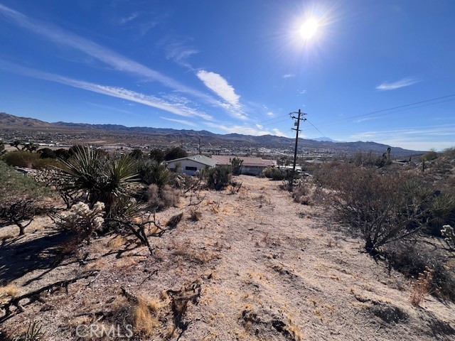 MLS #JT25006607 image #6