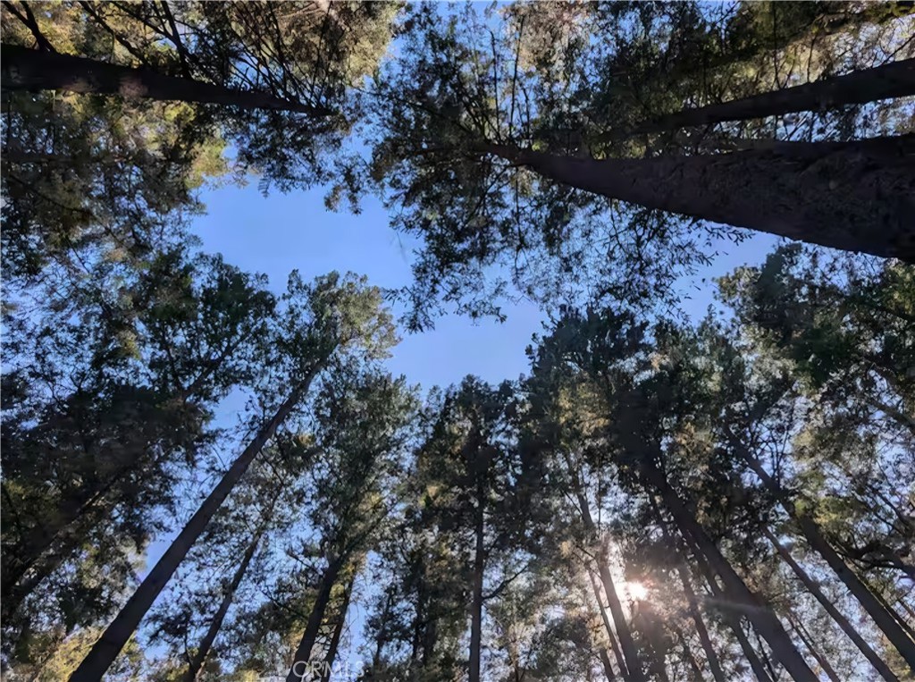 MLS #LC25260172 image #13