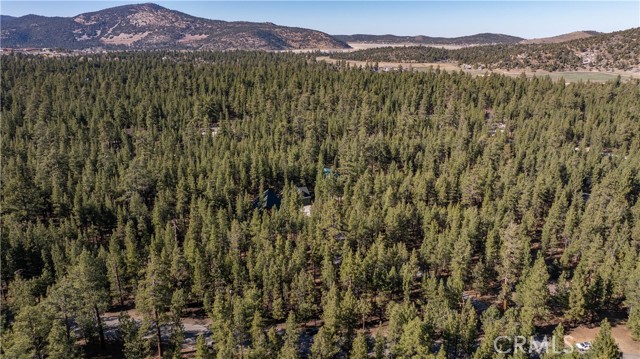 Image 43 of 50 For 1901 State Court