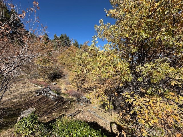 Detail Gallery Image 10 of 31 For 2379 Chicago Dr, Running Springs,  CA 92382 - – Beds | – Baths