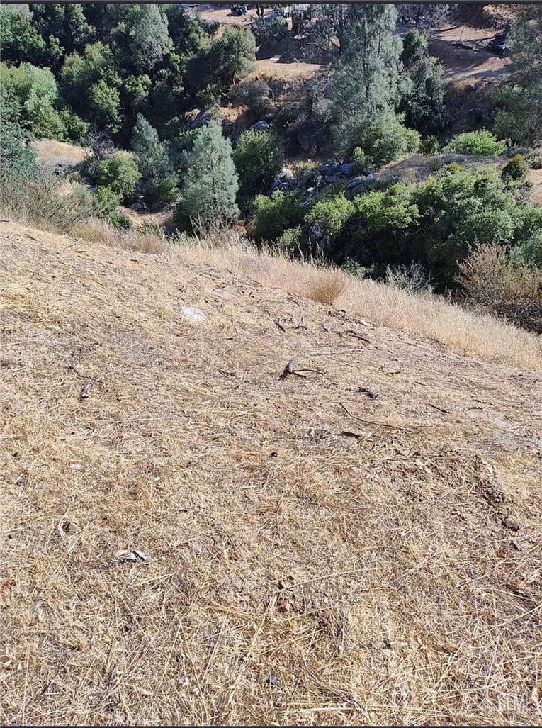 https://media.crmls.org/medias/2e3e7f95-8e4c-4dc0-8e4d-6a10319cc8e5.jpg?preset=X-Large