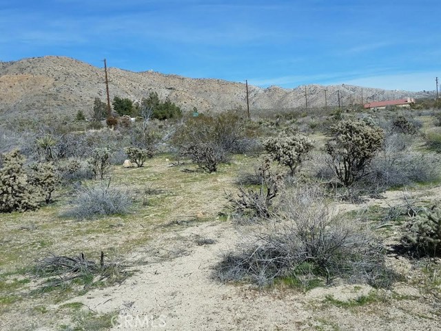 Detail Gallery Image 3 of 5 For 0 29 Palms Highway, Morongo Valley,  CA 92256 - – Beds | – Baths