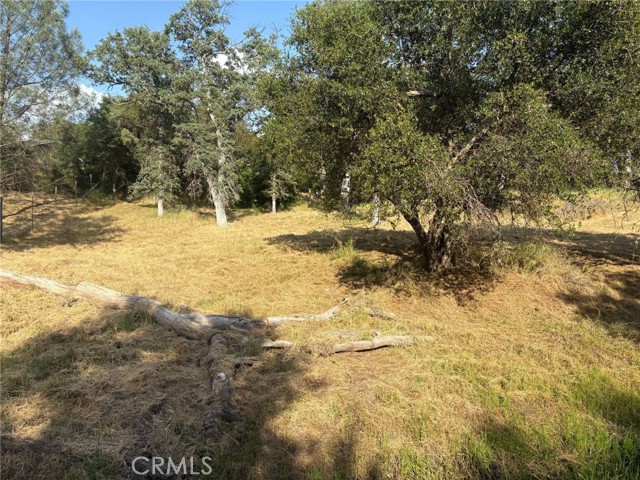 Detail Gallery Image 4 of 10 For 0 Chickasaw Rd, Coarsegold,  CA 93614 - – Beds | – Baths