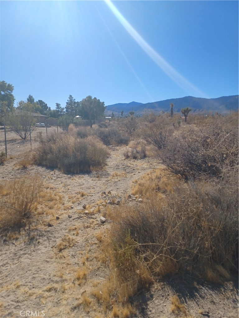 MLS #CV25117783 image #6