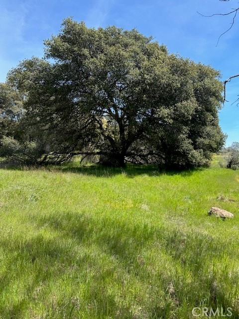 Detail Gallery Image 6 of 6 For 0 Highway 49 N, Mariposa,  CA 95338 - – Beds | – Baths