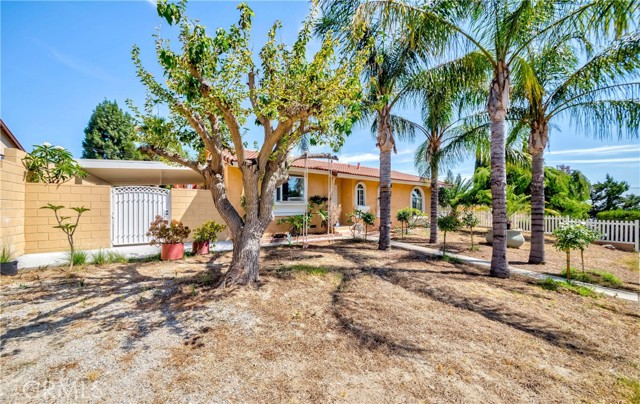 13664 Polk Street photo 6