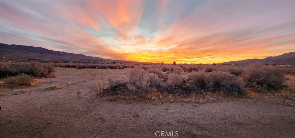 MLS #IV25049226 img 15