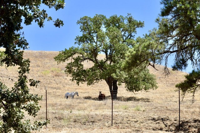 1924 Surrey Way, Paso Robles CA: https://media.crmls.org/medias/2e553046-4364-4229-aeda-272b7f8ae65b.jpg