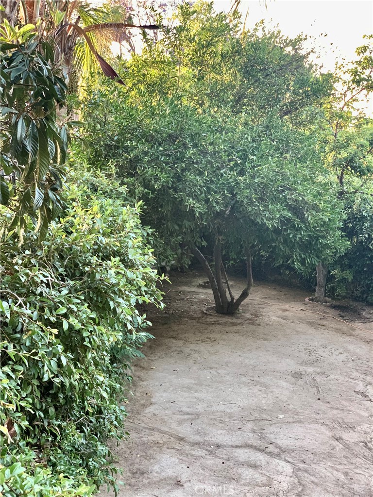 https://media.crmls.org/medias/2e5820c7-880f-4883-add3-6527cc442538.jpg?preset=X-Large