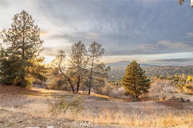 Detail Gallery Image 58 of 62 For 45183 Sno Flake Ln, Ahwahnee,  CA 93601 - 4 Beds | 3 Baths