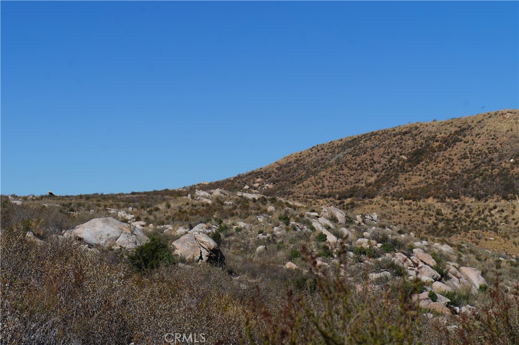 MLS #SB25011782 image #9