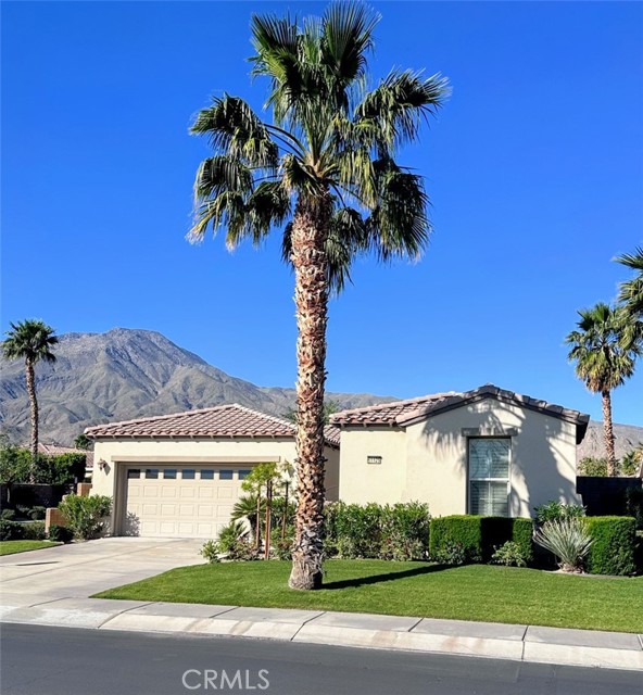 Front Image Thumbnail for CROC26037699