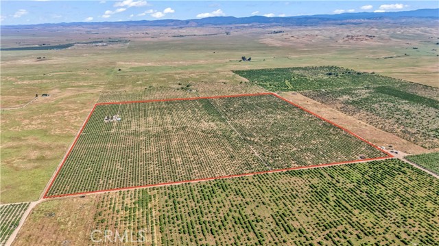 Image 8 of 21 For 0 Buchanan Hollow Road