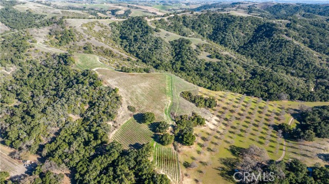 Detail Gallery Image 33 of 36 For 0 Adelaida Road, Paso Robles,  CA 93446 - – Beds | – Baths