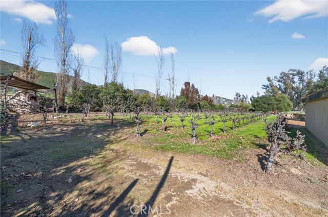 Image 39 of 75 For 31420 Palm Avenue