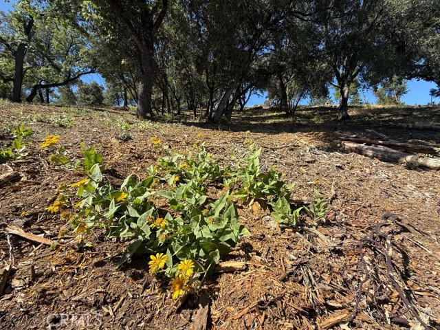 5710 Clouds Rst, Mariposa CA: https://media.crmls.org/medias/2e78962c-79bf-4fbd-ace1-b7edc263277f.jpg