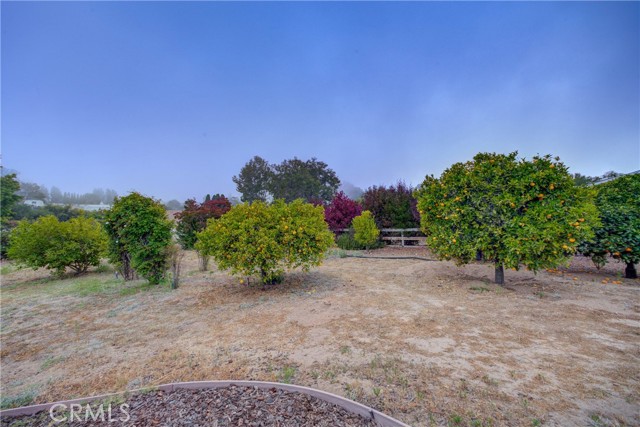 Detail Gallery Image 42 of 50 For 355 via Vicente, Nipomo,  CA 93444 - 3 Beds | 2 Baths