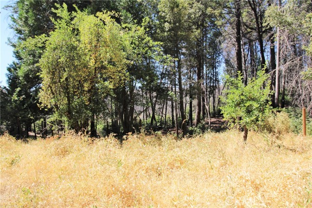 Detail Gallery Image 32 of 43 For 268 Milsap Bar Rd, Berry Creek,  CA 95916 - 3 Beds | 1 Baths
