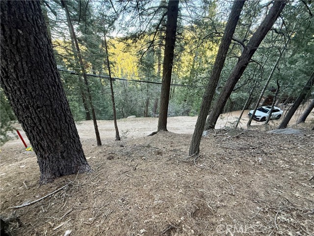 Detail Gallery Image 15 of 25 For 0 Scenic View, Crestline,  CA 92325 - – Beds | – Baths