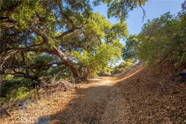 Detail Gallery Image 11 of 32 For 7210 Santa Susana Pass Rd, Simi Valley,  CA 93063 - – Beds | – Baths