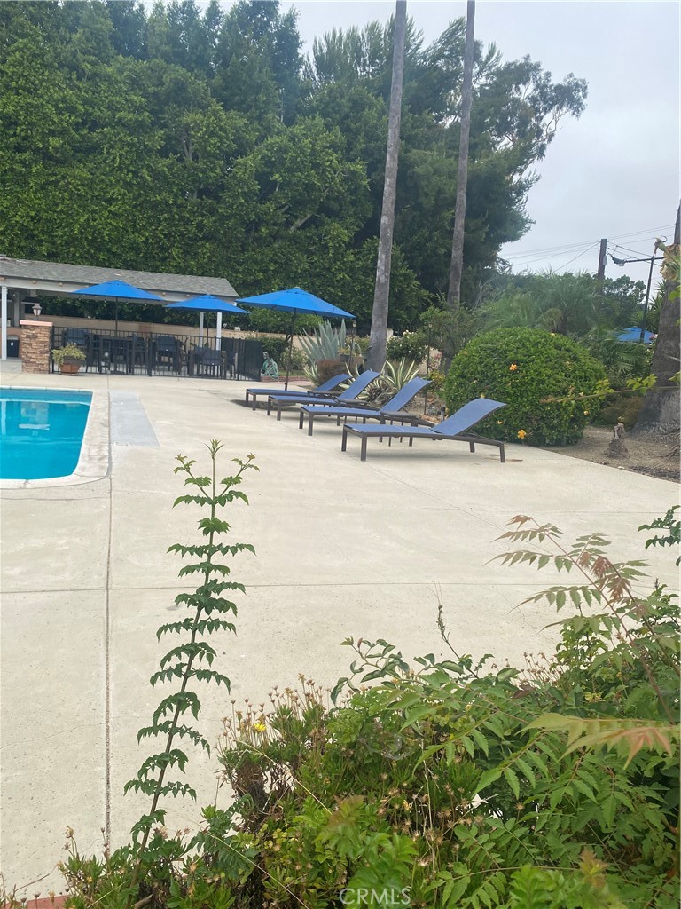 MLS #DW25163362 image #33