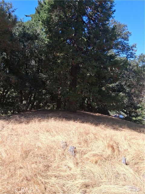 839 Arbula Drive, Crestline CA: https://media.crmls.org/medias/2e881a16-5327-4056-93f7-3d60b31856f5.jpg