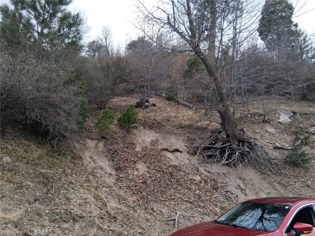 MLS #IV25051475 image #1