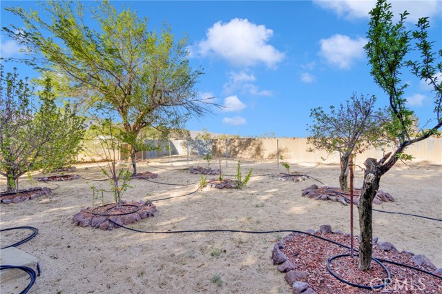 Detail Gallery Image 56 of 68 For 10298 Custer Ave, Lucerne Valley,  CA 92356 - 5 Beds | 2/1 Baths