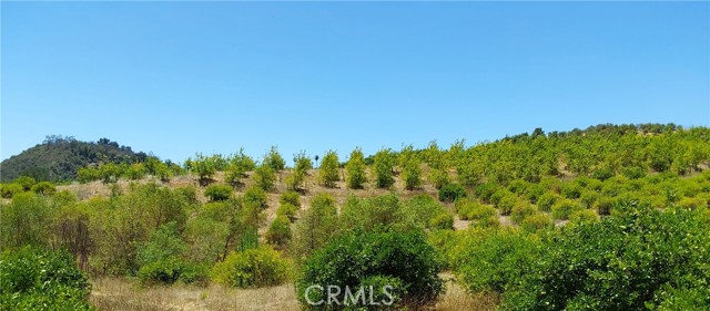 5 De Anza Road, Temecula CA: https://media.crmls.org/medias/2e907383-121f-4f7b-b41d-a800fce217e6.jpg
