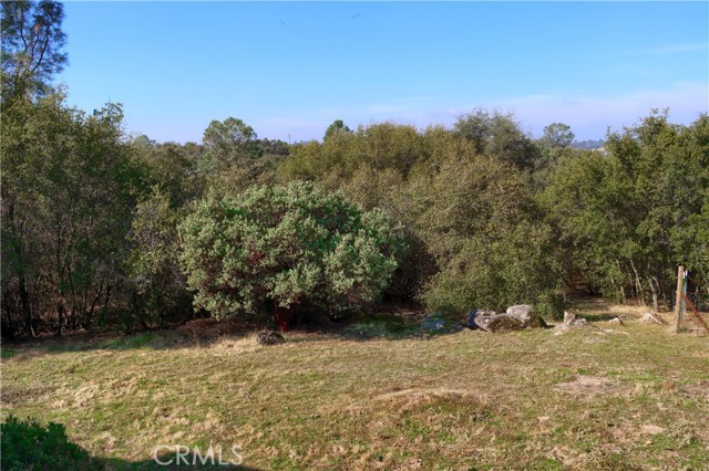 Detail Gallery Image 42 of 51 For 31678 Buck Run, Coarsegold,  CA 93614 - 3 Beds | 2 Baths