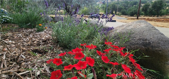 Detail Gallery Image 59 of 74 For 12352 Centerville Rd, Chico,  CA 95928 - 5 Beds | 4/1 Baths