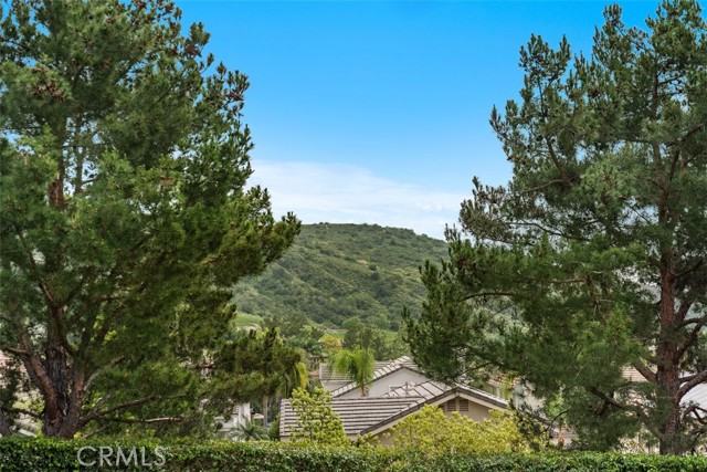 Detail Gallery Image 47 of 66 For 16 Mariposa, Rancho Santa Margarita,  CA 92679 - 5 Beds | 3/1 Baths