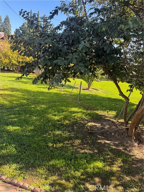 Detail Gallery Image 22 of 22 For 1134 Greycliff, La Puente,  CA 91744 - 4 Beds | 2 Baths