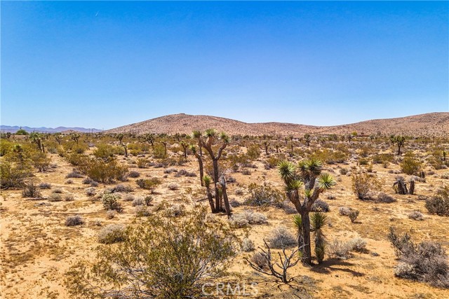 Detail Gallery Image 63 of 75 For 2750 Olympic Rd, Joshua Tree,  CA 92252 - 5 Beds | 4 Baths