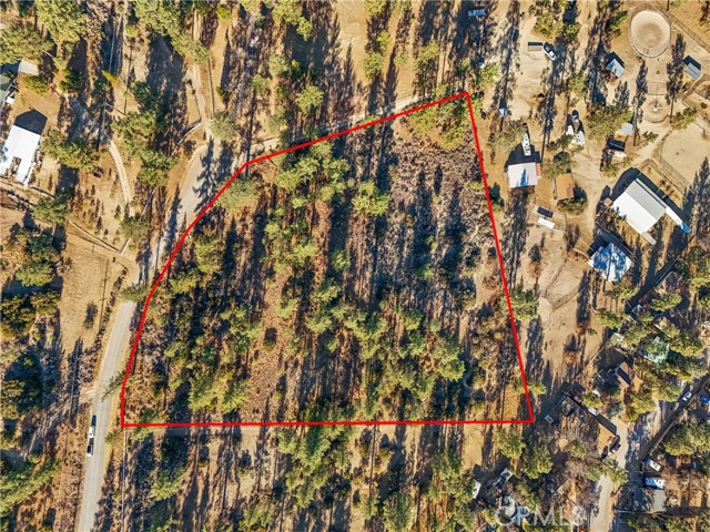 Front Image Thumbnail for CROC26053570