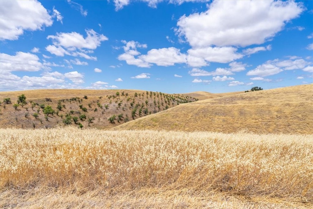 https://media.crmls.org/medias/2ea0125c-0e0f-48ca-b067-1272f512a2c0.jpg?preset=X-Large