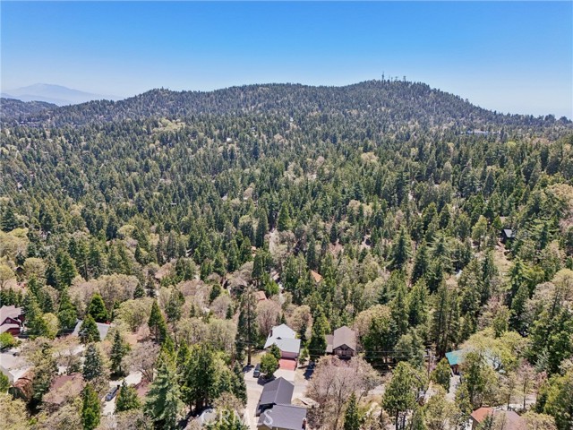 Detail Gallery Image 57 of 59 For 385 Iris Dr, Twin Peaks,  CA 92391 - 4 Beds | 3 Baths