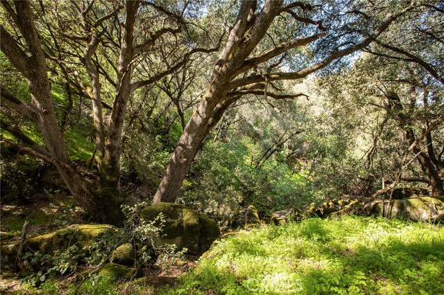 Detail Gallery Image 25 of 74 For 44981 Todd Eymann Rd, Miramonte,  CA 93641 - 1 Beds | 1 Baths