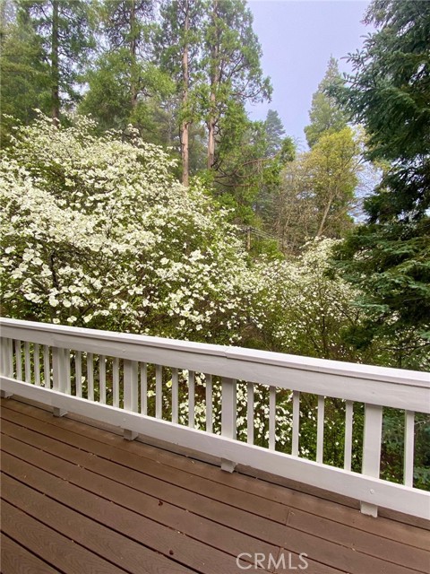 Detail Gallery Image 31 of 31 For 841 Cottage Grove Rd, Lake Arrowhead,  CA 92352 - 3 Beds | 2 Baths