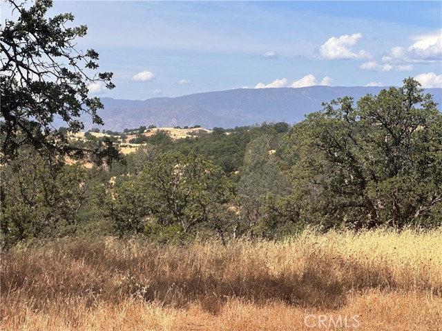16173 Nugget, Corning, CA, 96021 16173 Nugget, Corning, CA, 96021